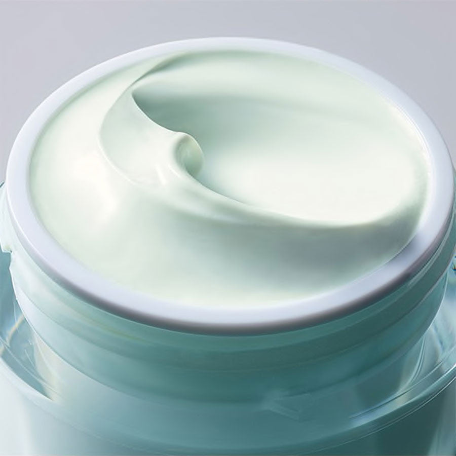 DayWear Anti-Oxidant Moisturizing Cream SPF15 24-Hour Moisturizing Cream