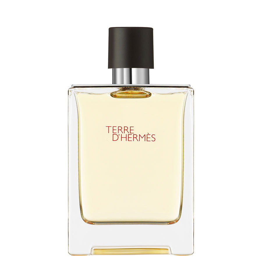 Terre d'Hermès, Eau de Toilette 100ML