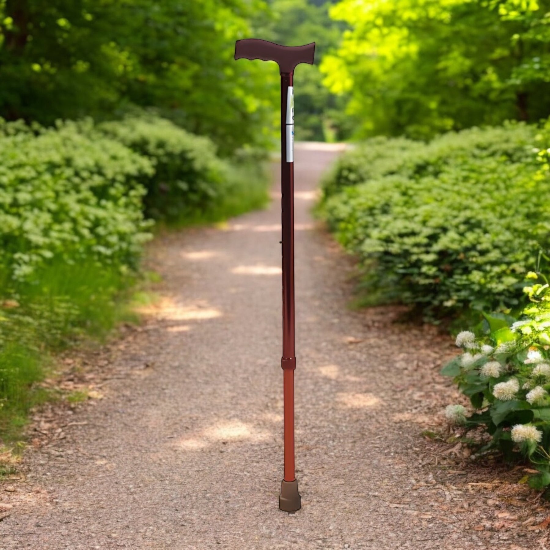Loco Pr-102 Staff Cane Bronze