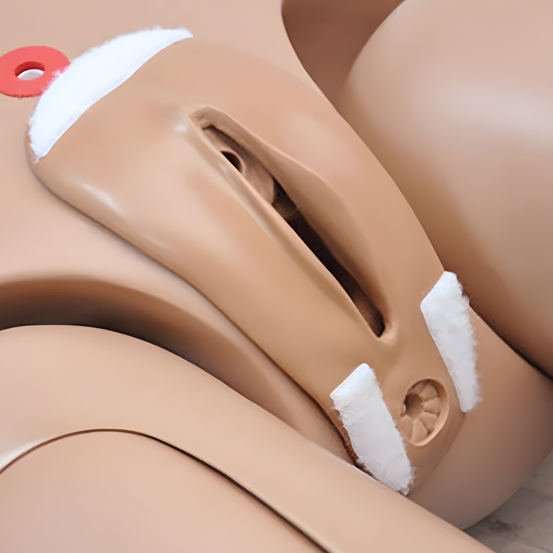 Nurse Education Model Standard Version R17600