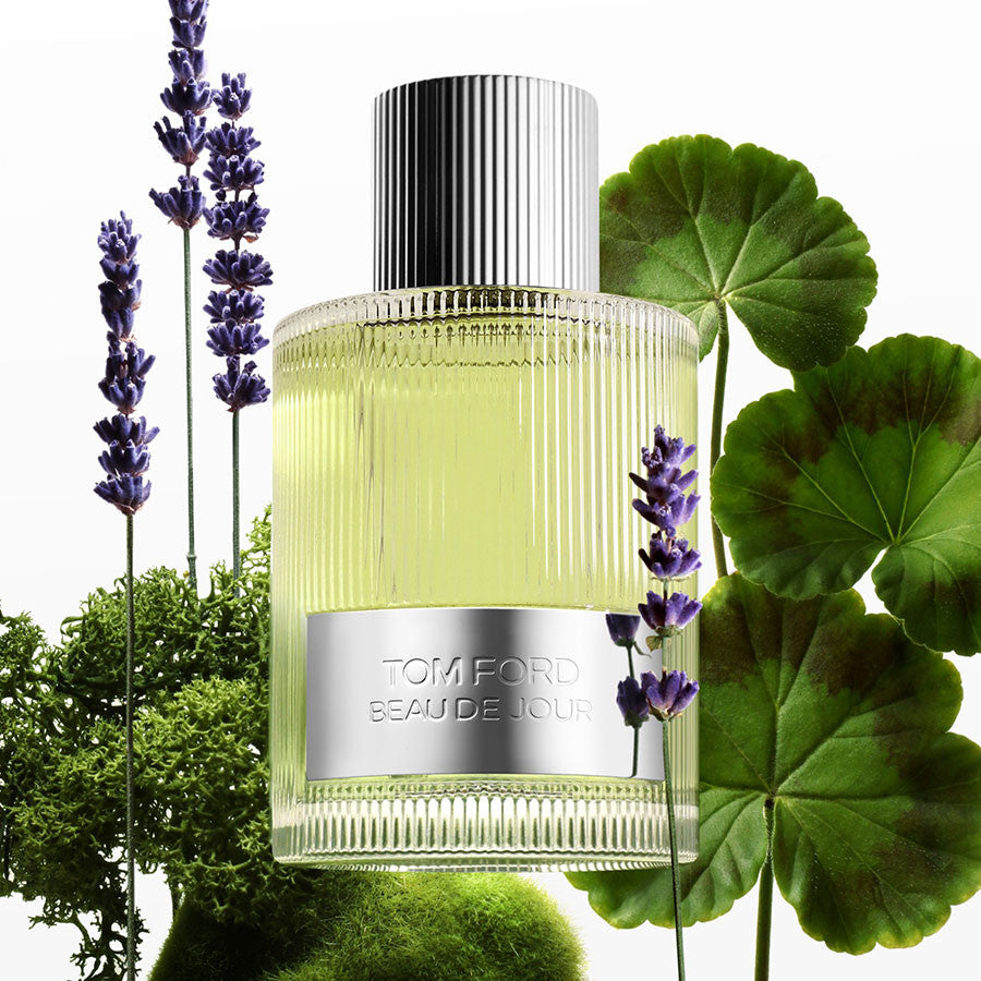 Tom Ford Beau De Jour EDP 100ML Men's Perfume