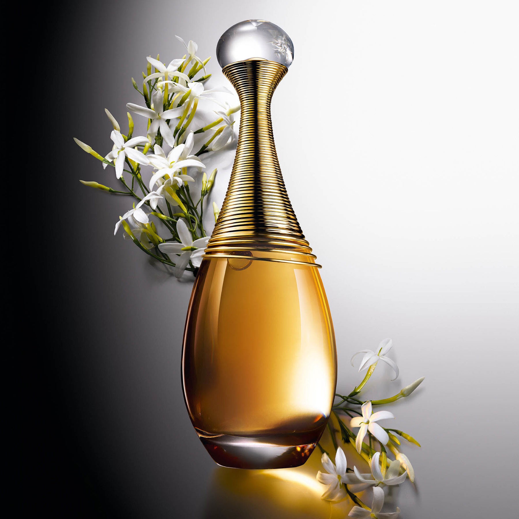 Dior Jadore EDP Vaporiser Women's Perfume 50ml
