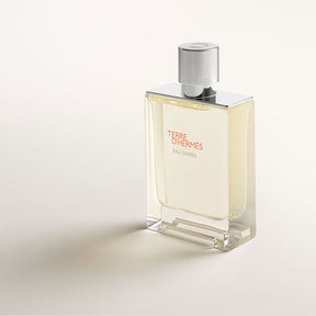 Terre d'Hermès Eau Givrée, Eau de Parfum 100 ml