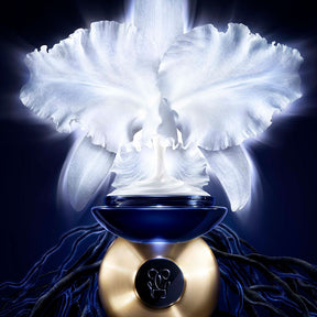 Guerlain Orchidee Imperiale 5G Day Cream 50ML Moisturizer